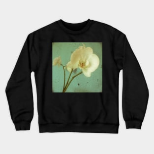 Morning Glory Crewneck Sweatshirt